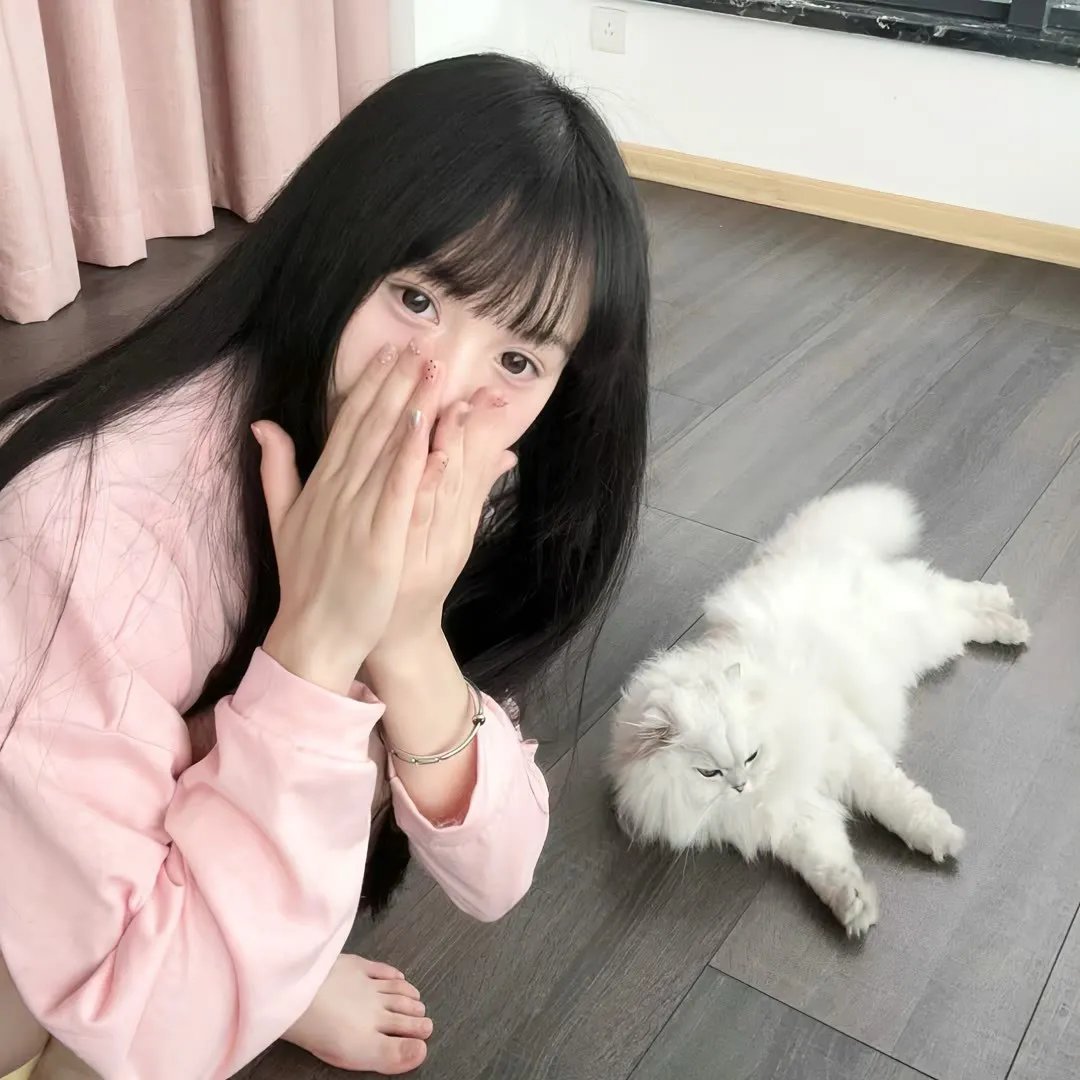 罪恶黑名单第五季